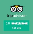 trip-advisor